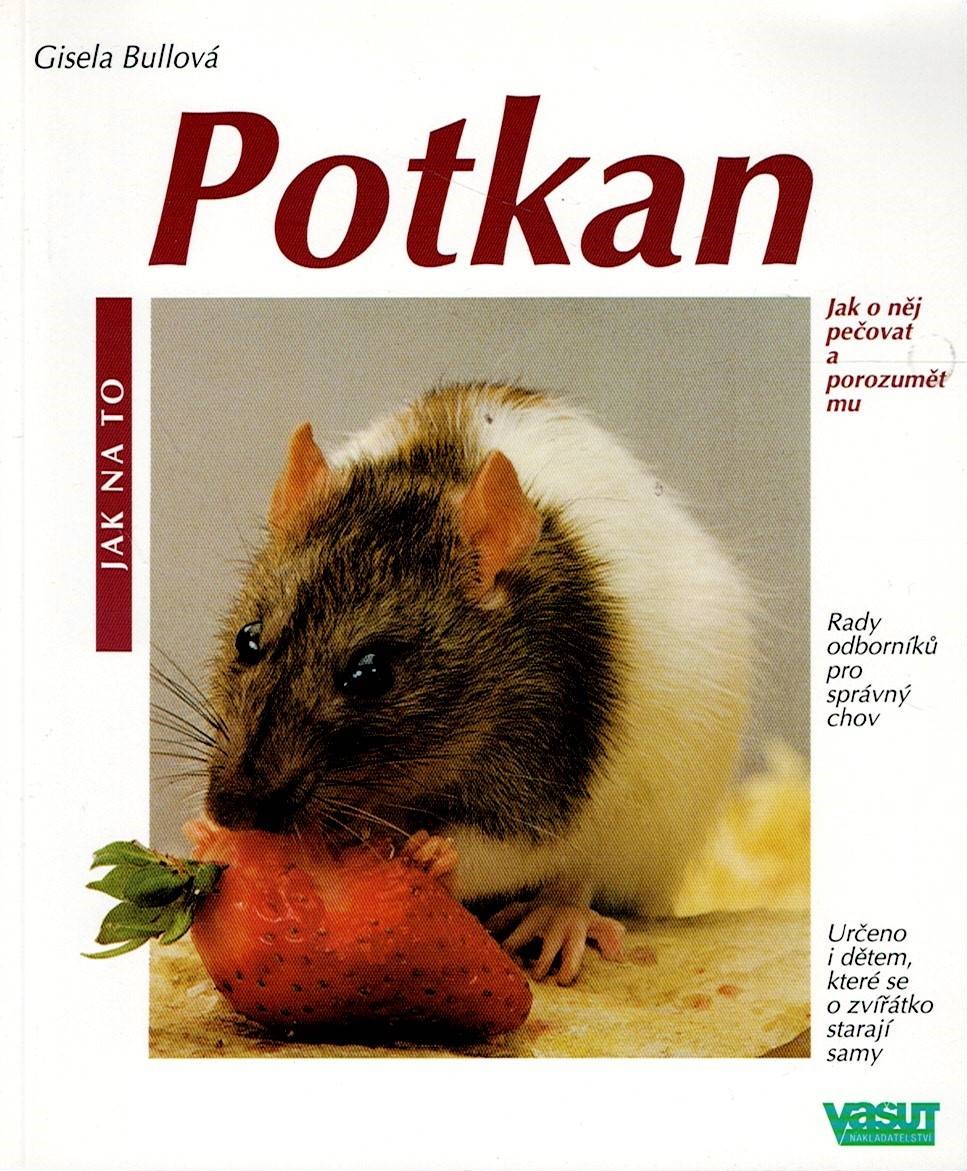 Bullová Gisela: Jak na to - Potkan