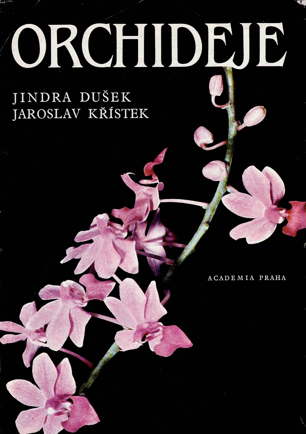 Dušek Jindra, Křístek Jaroslav: Orchideje