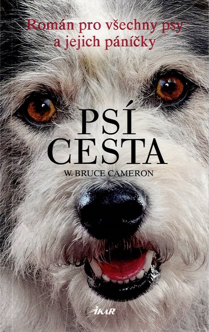 Cameron W. Bruce: Psí cesta