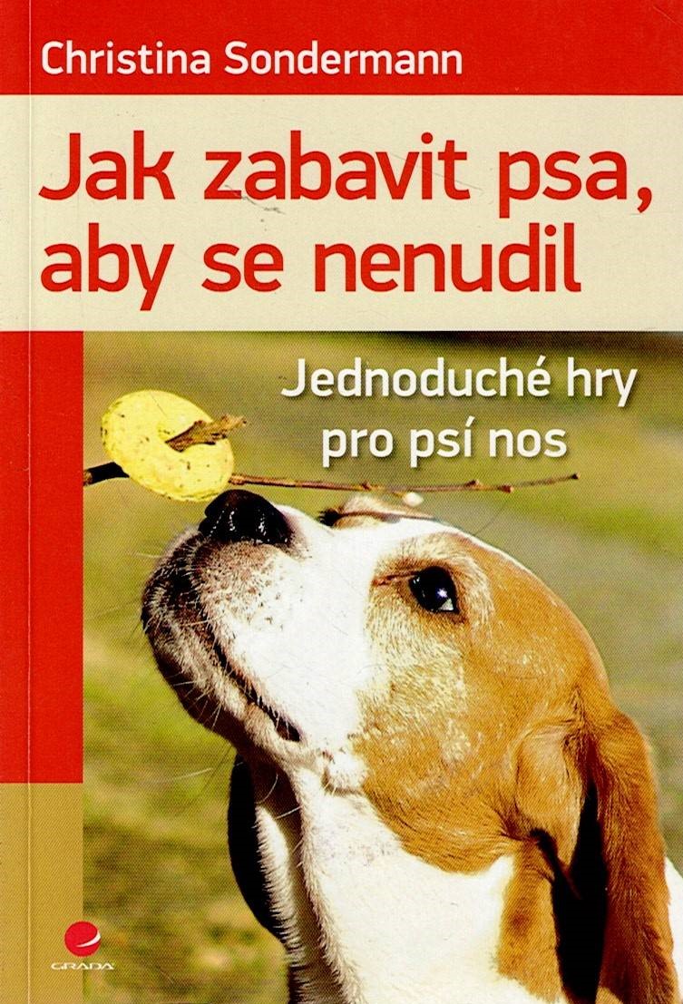 Sondermann Christina: Jak zabavit psa, aby se nenudil