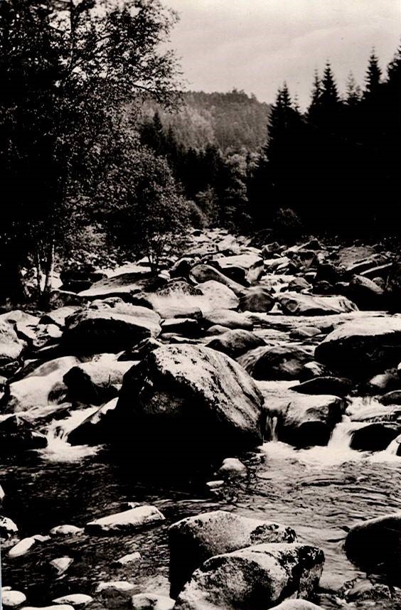 Šumava - Sušicko, z Klostermannovy cesty na Vydře