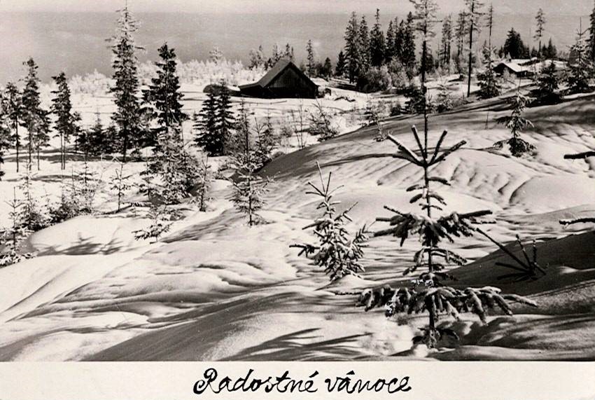 Radostné Vánoce (foto Vilém Heckel)