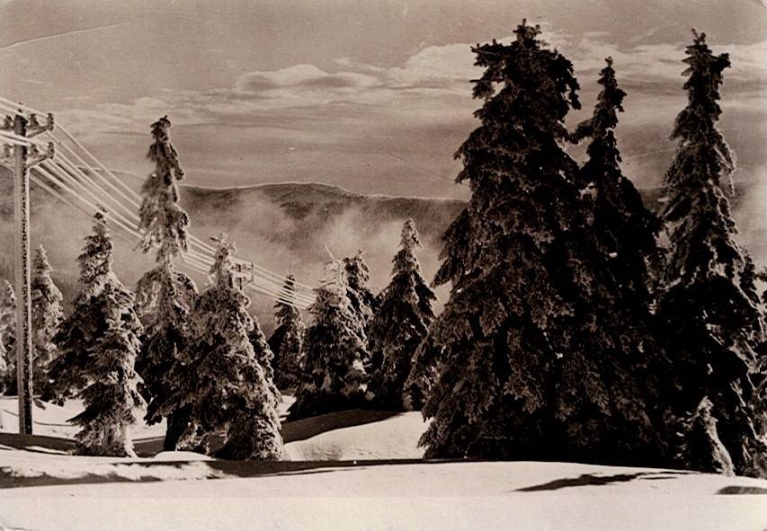 Krkonoše - Kozí hřbety (2)