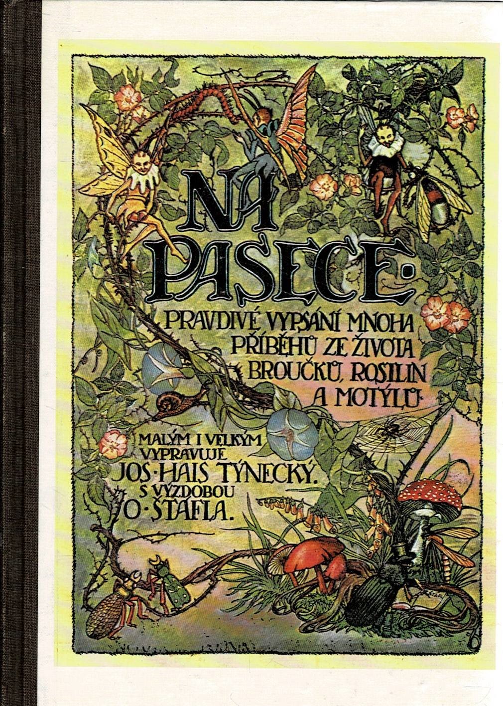 Týnecký J. H.: Na pasece